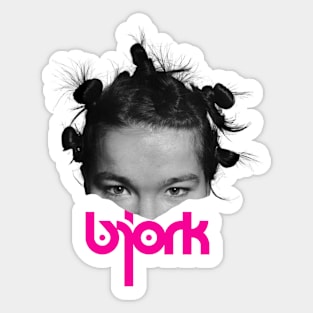 Bjork face Sticker